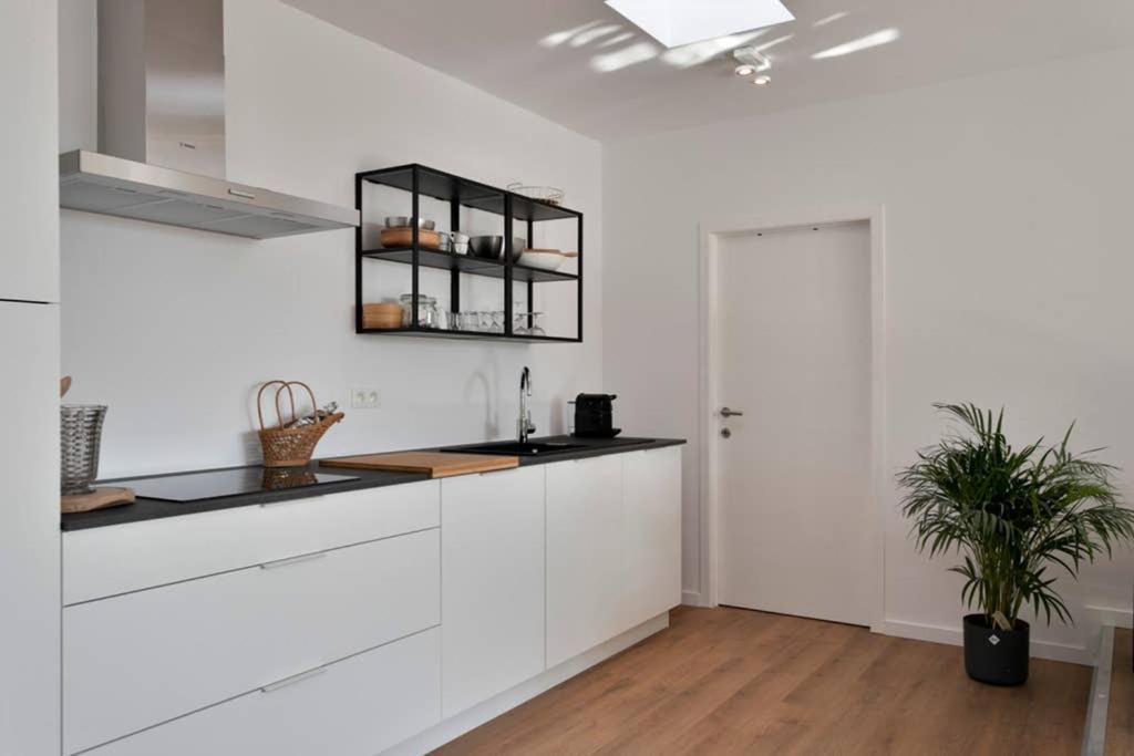 City Penthouse, Rooftop Terrace, Free Netflix, Wifi And Airco Antwerpen Buitenkant foto